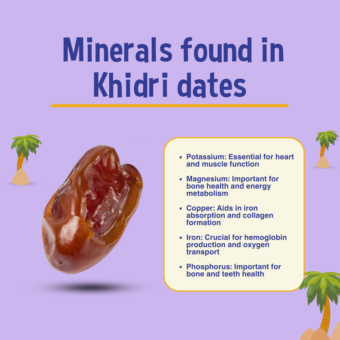 Organic Khidri Whole Dates-500g