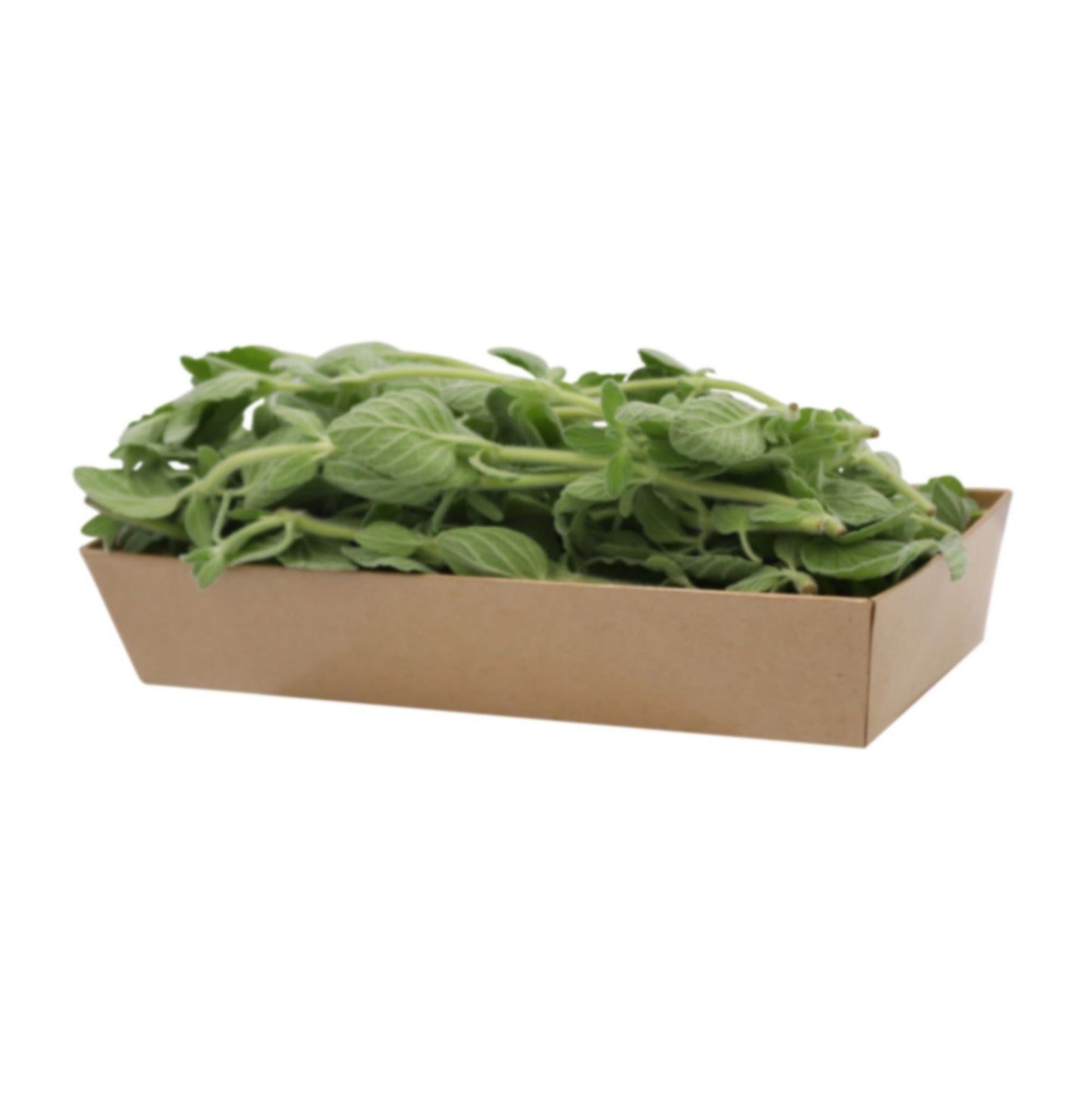Oregano 50gm