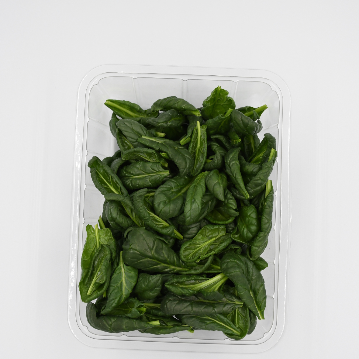 Hydroponically Grown Baby Spinach 100gms