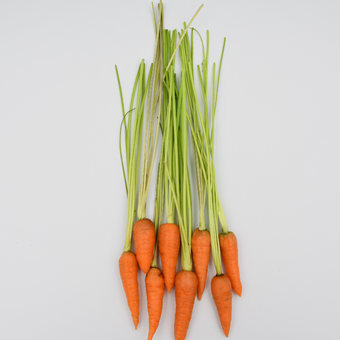 Hydroponically Grown Baby Carrots 200gms