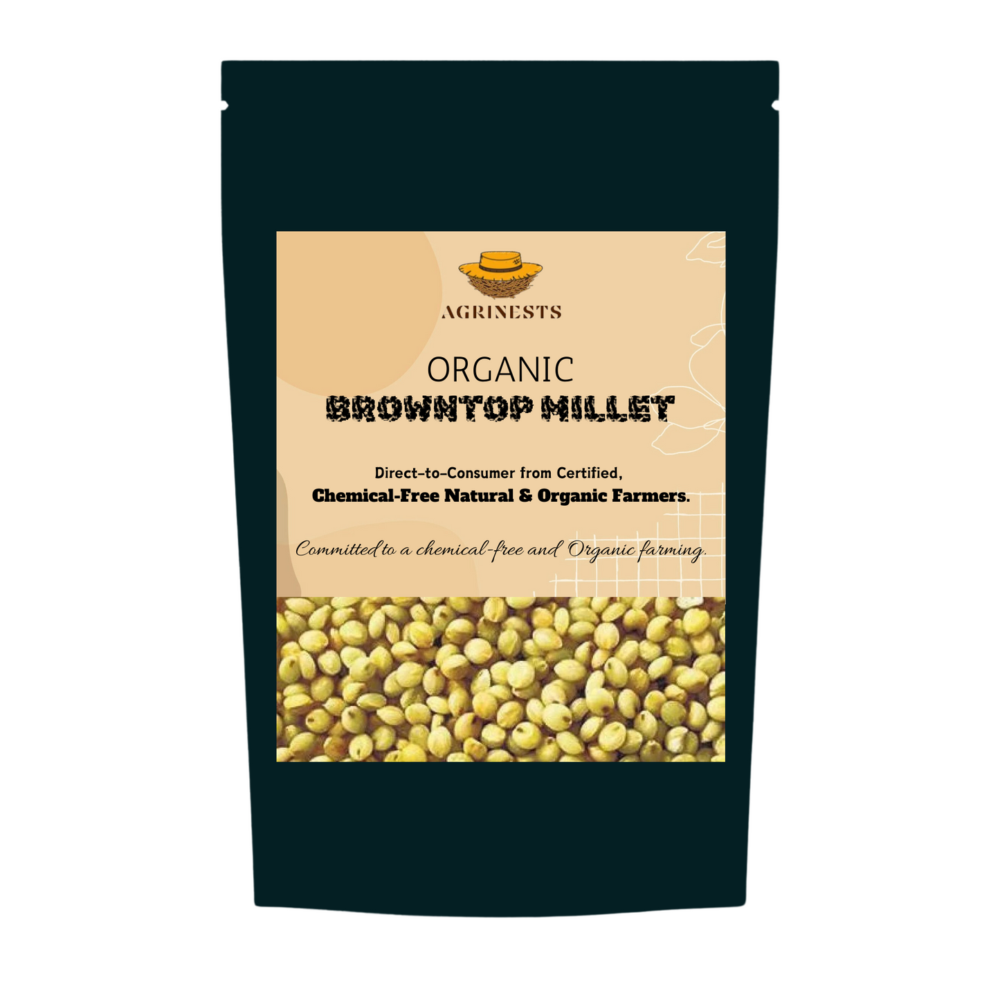 Organic Browntop Millet