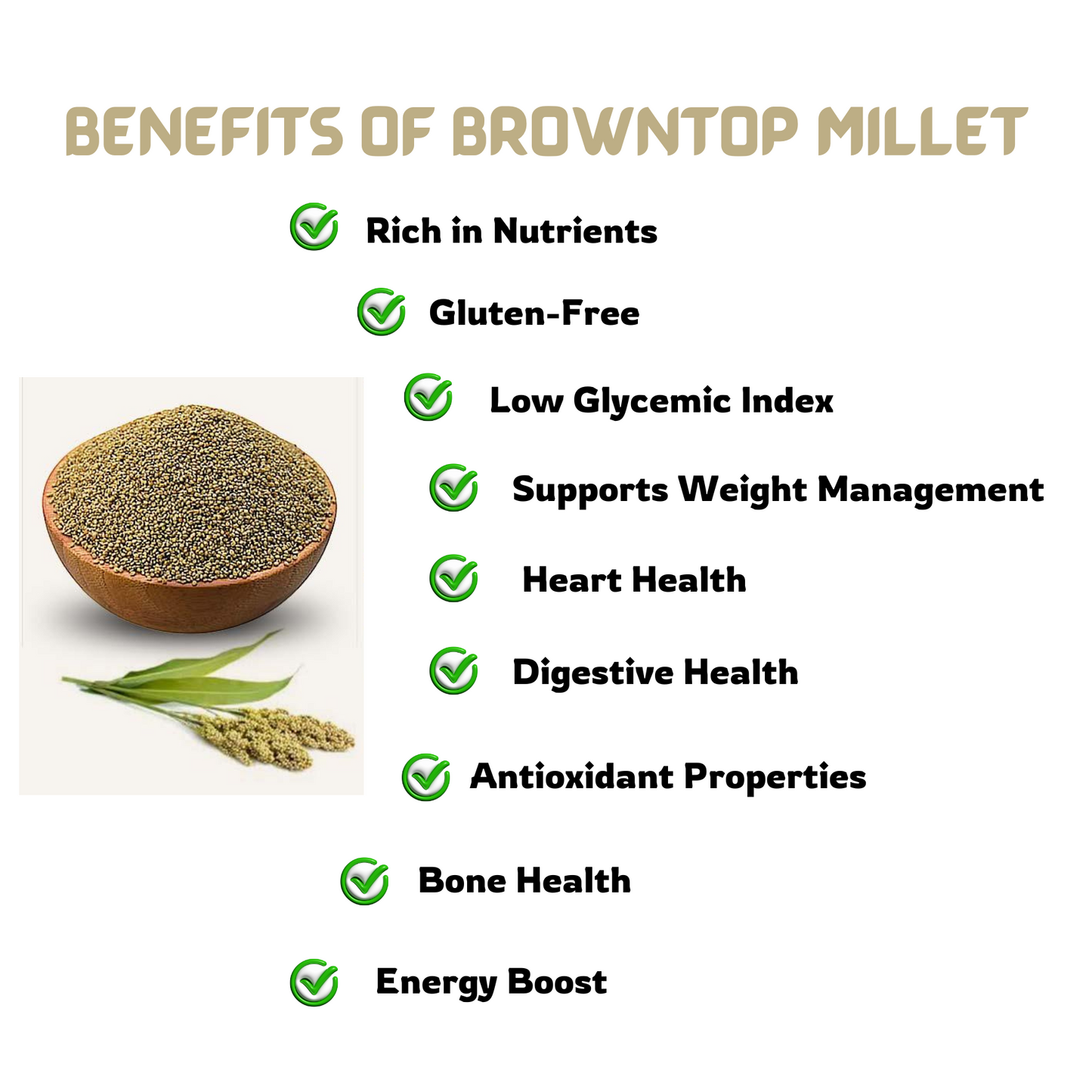 Organic Browntop Millet