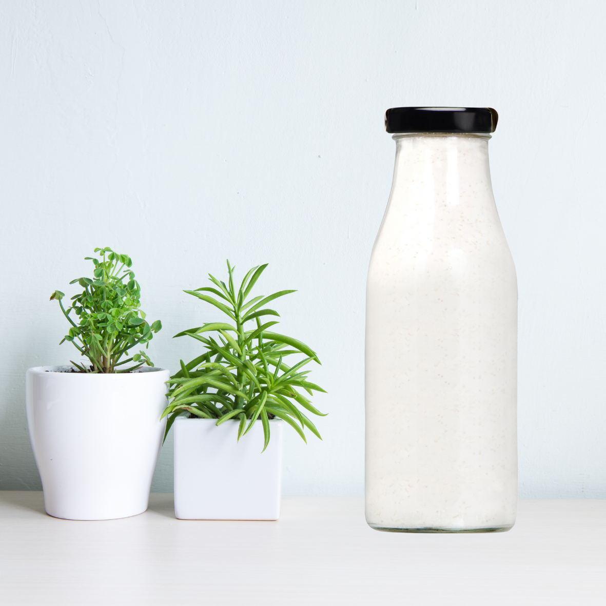 Fresh Buffalo Milk 1.5 ltr (Plastic Bottle)