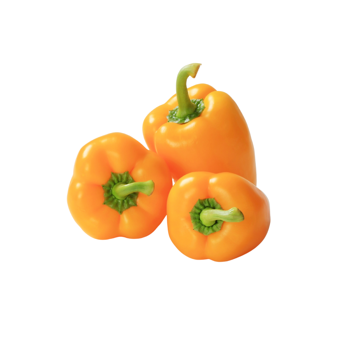 Capsicum Yellow