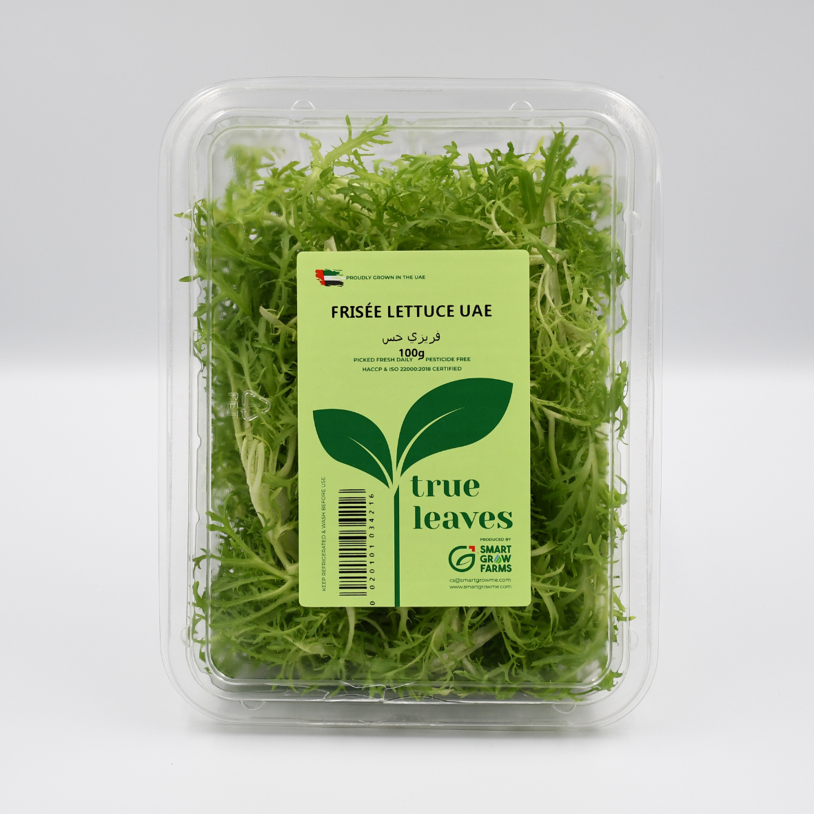 Hydroponically Grown Frisse Lettuce 100gms