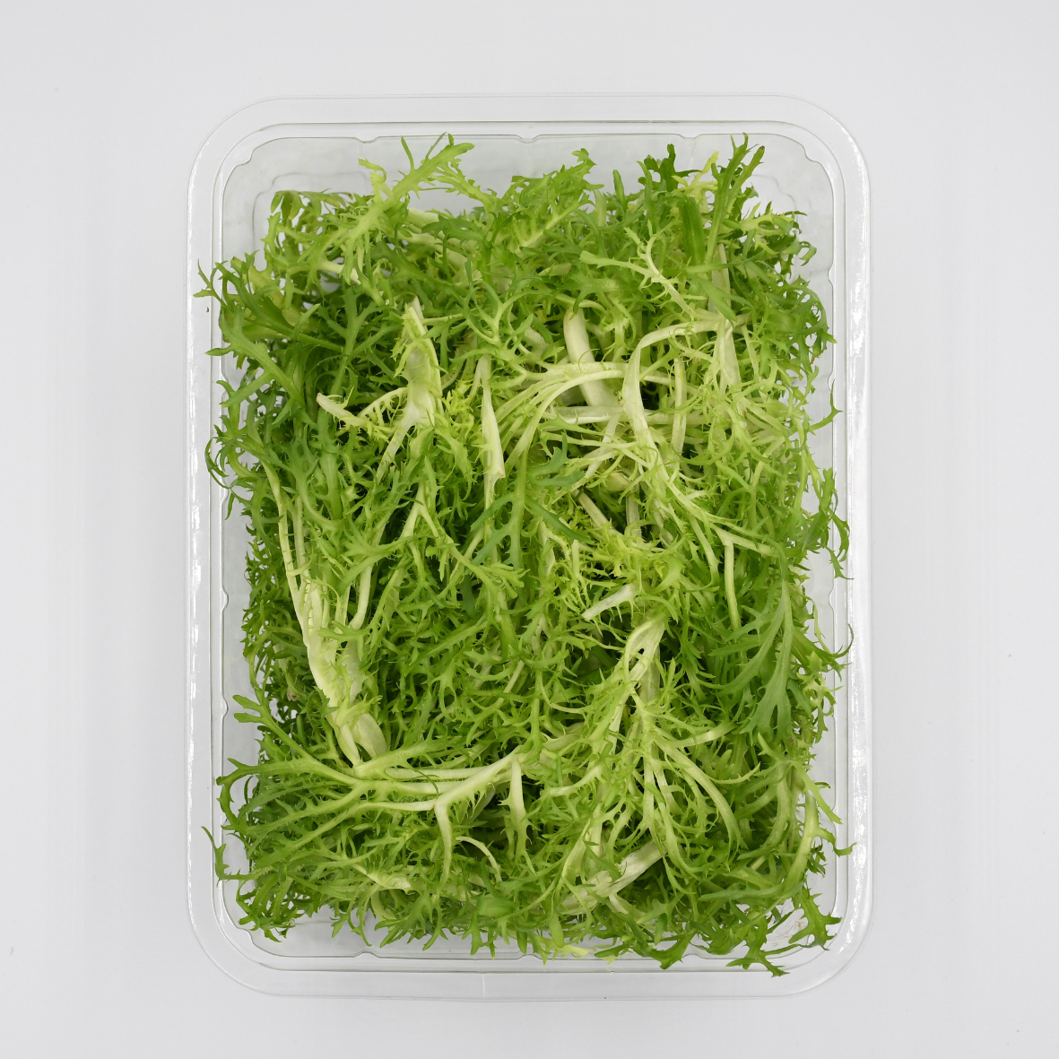 Hydroponically Grown Frisse Lettuce 100gms