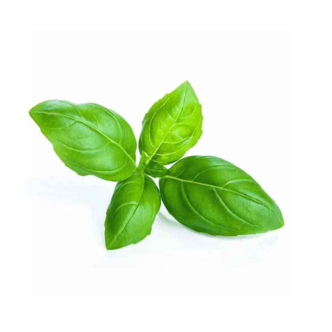 Basil Leaf 60g(Approx)