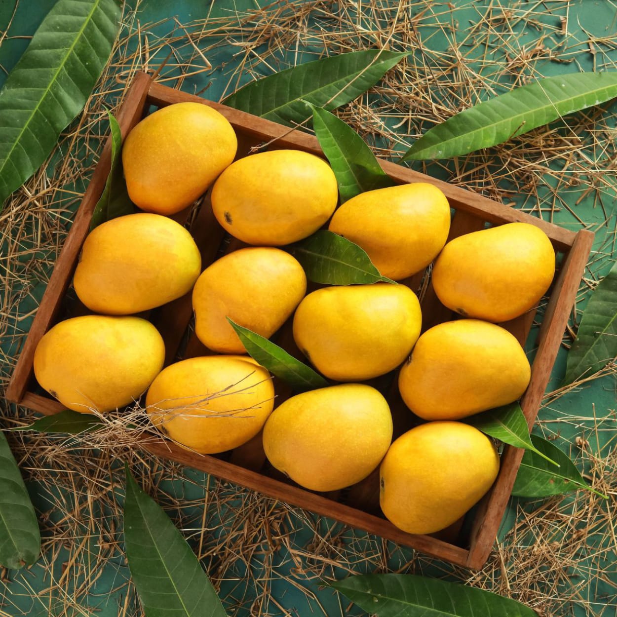 Devgad Mangoes 12 Pcs in One Box (Approx 3kg).
