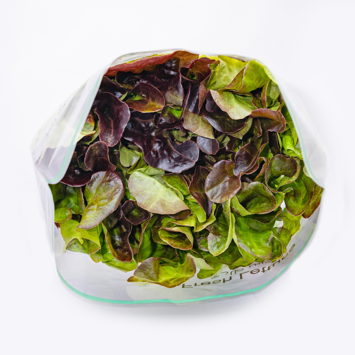 Hydroponically Grown Oak leaf red lettuce 100gms