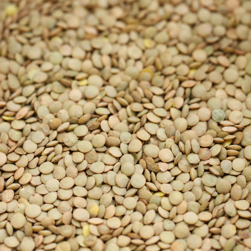 Organic Green Lentils (500g)