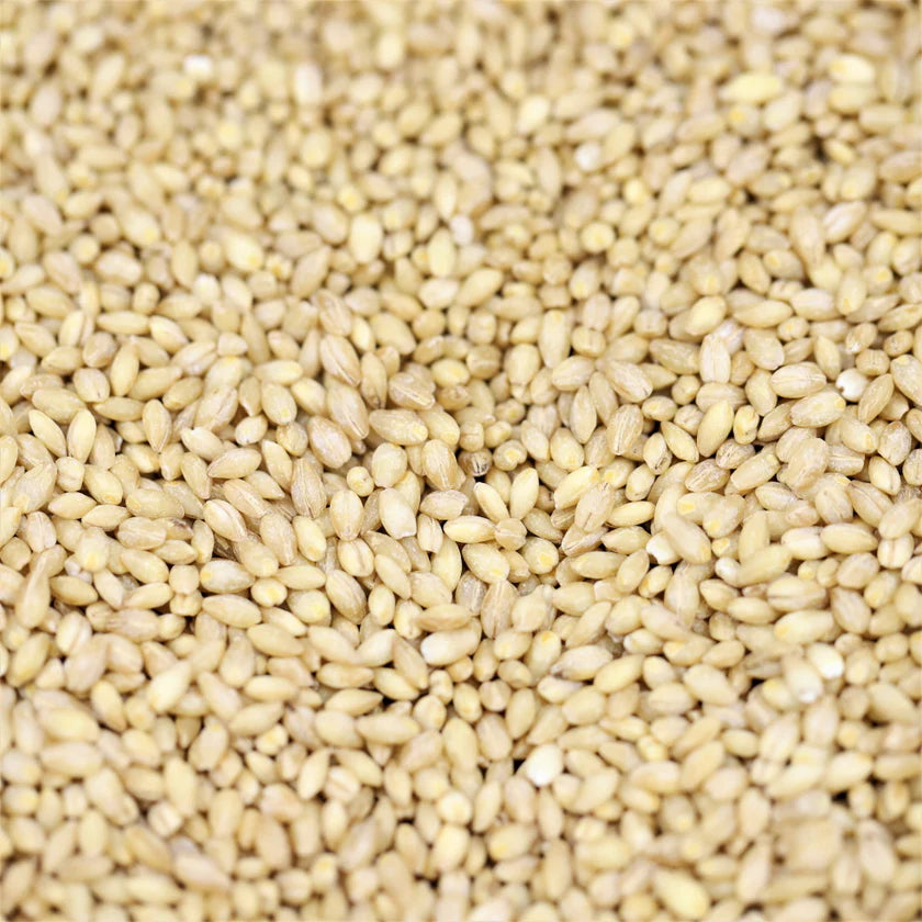 Organic Pearl Barley