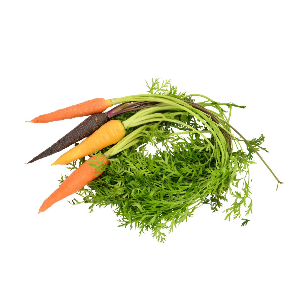 Hydroponically Grown Rainbow Carrots 200gms