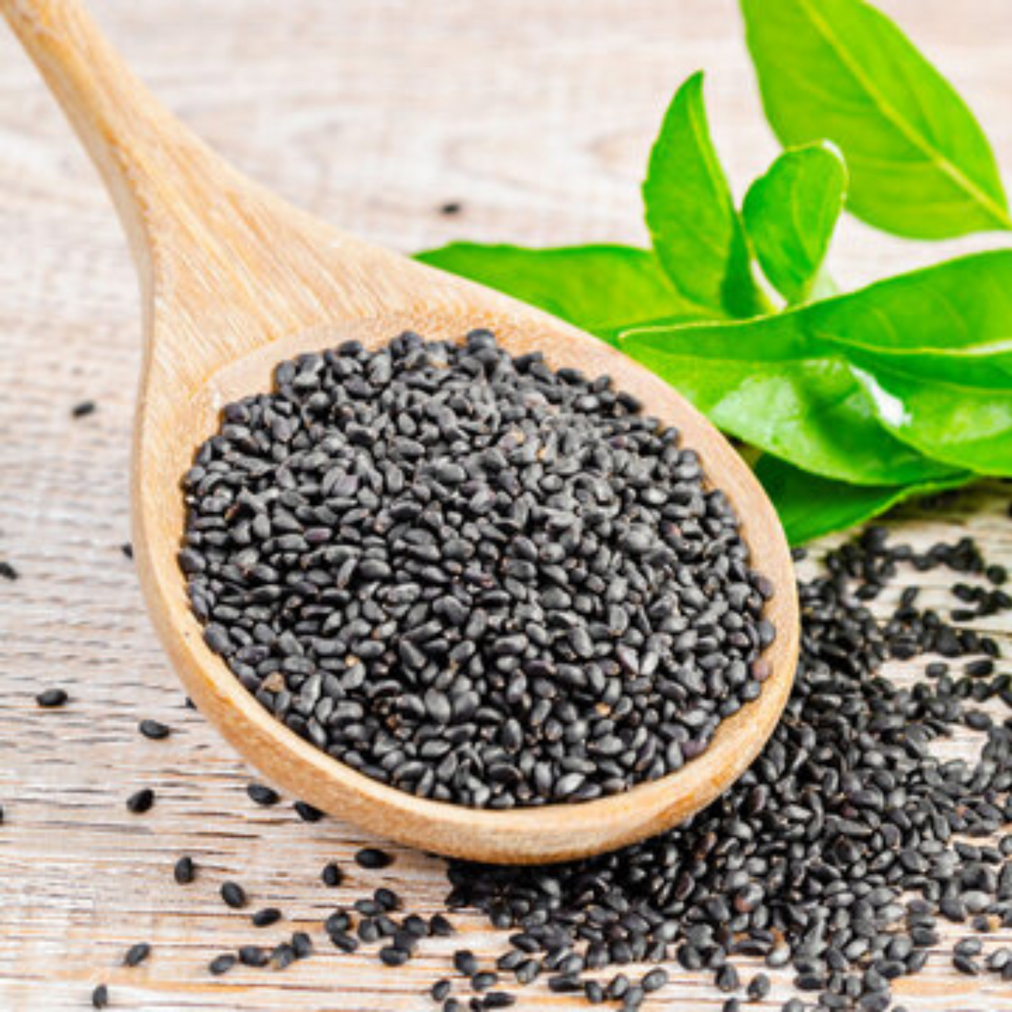 Natural Sabja Seeds 100gm