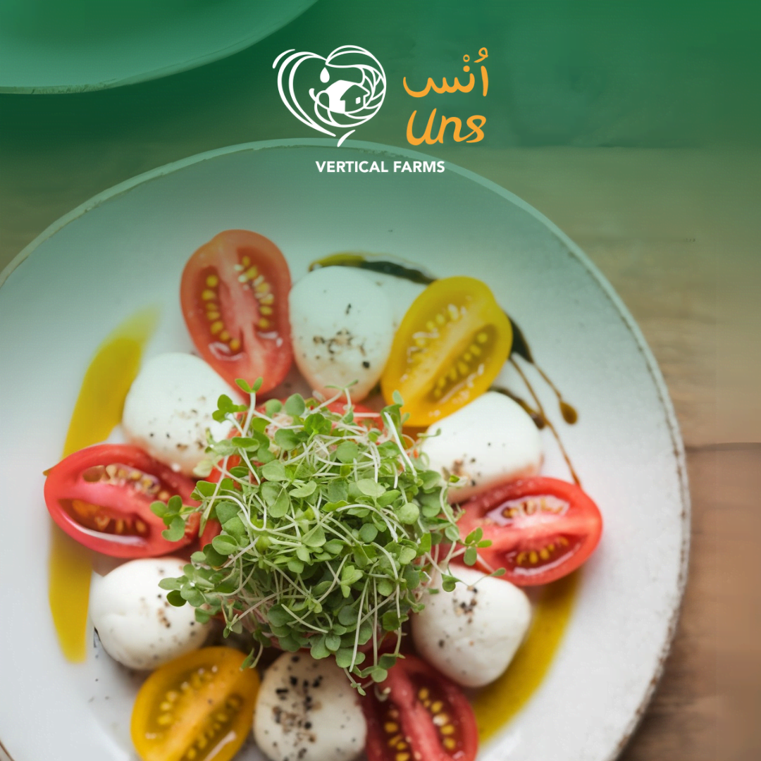 UNS Basil Microgreen 1300g.