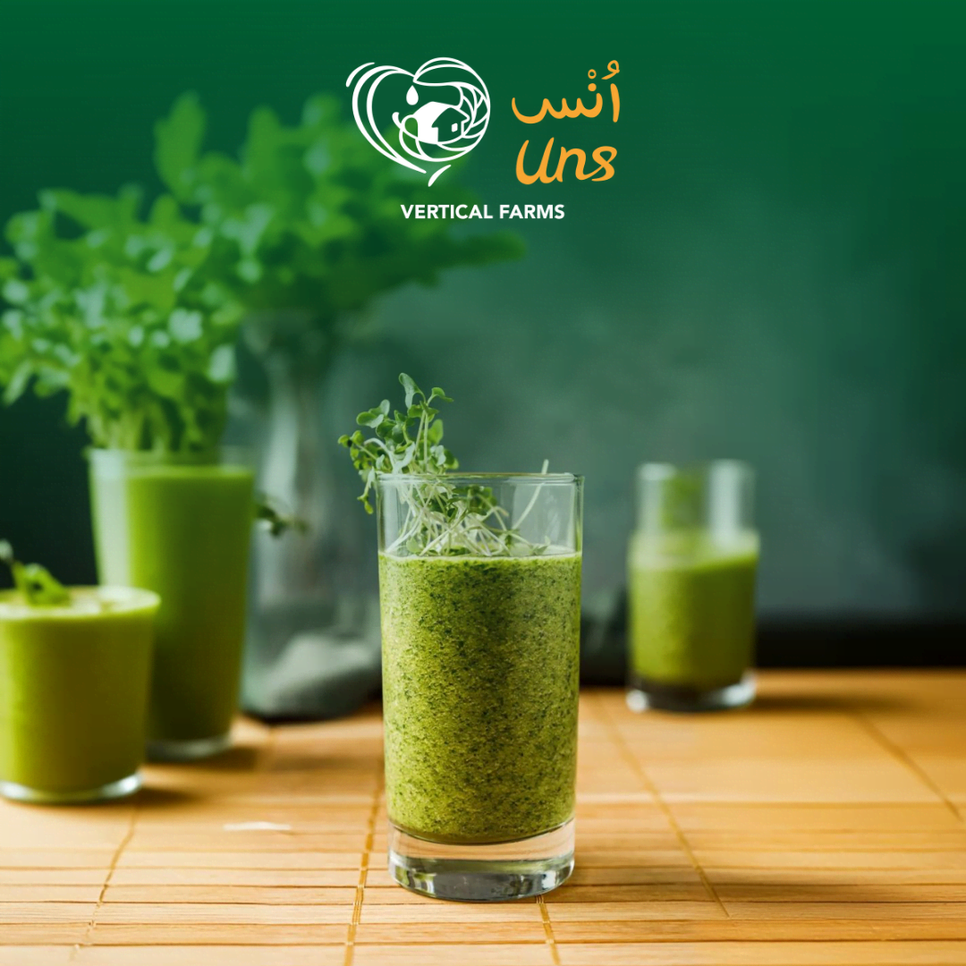 UNS Kale Microgreen 1300g