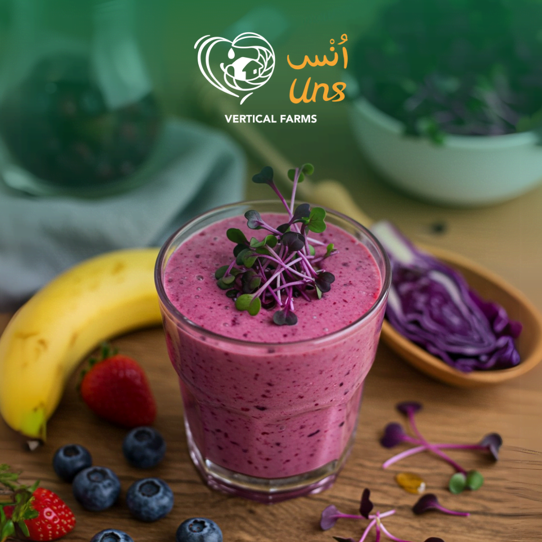 UNS Red Cabbage Microgreen 1300g
