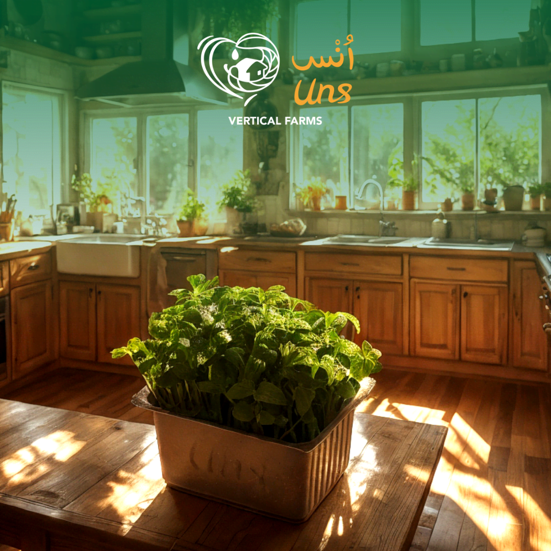 UNS Shiso Green Microgreen 1300g.