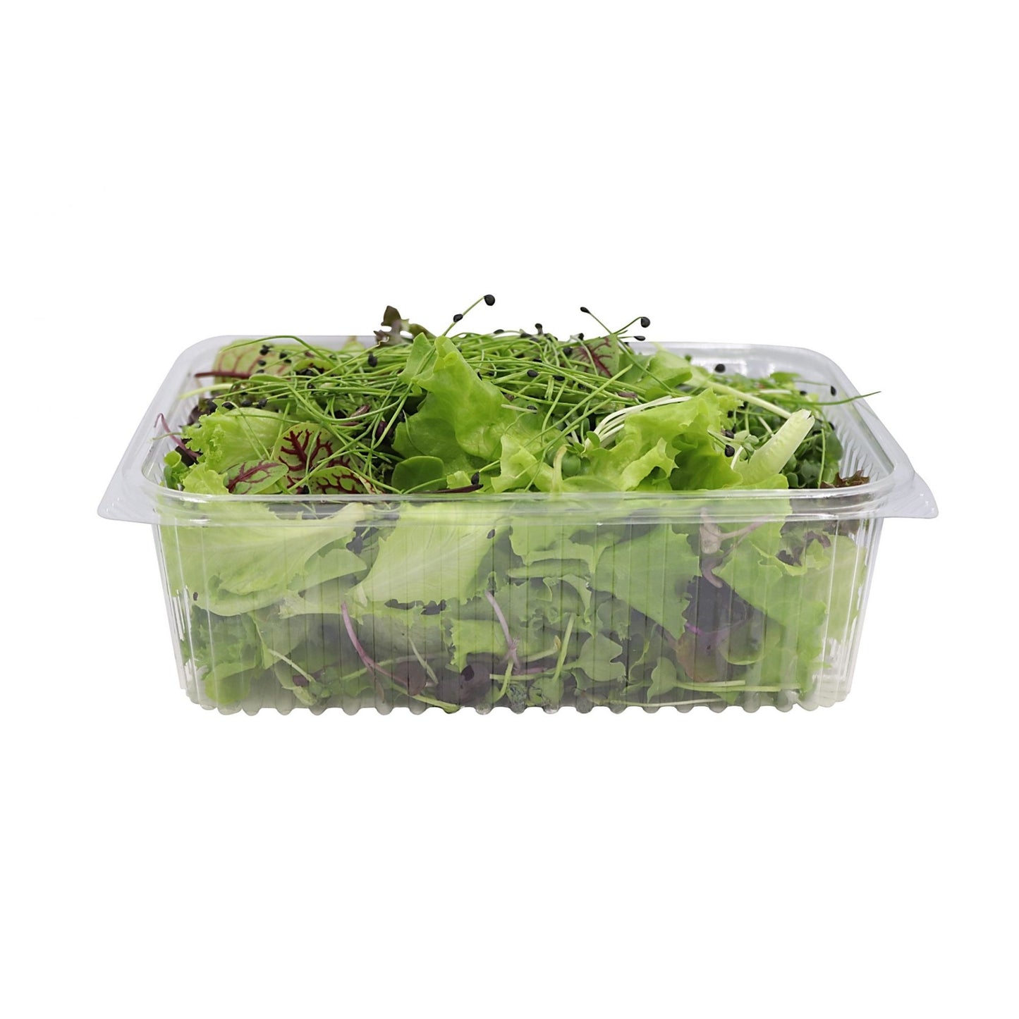 Super Micro Salad 100gm
