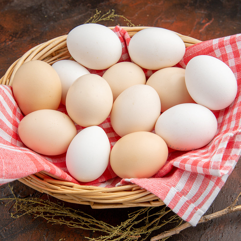 Chicken Eggs