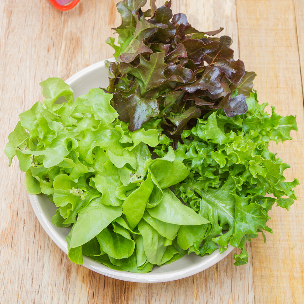 Freshly Picked - Salad Boxes