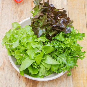 Freshly Picked - Salad Boxes