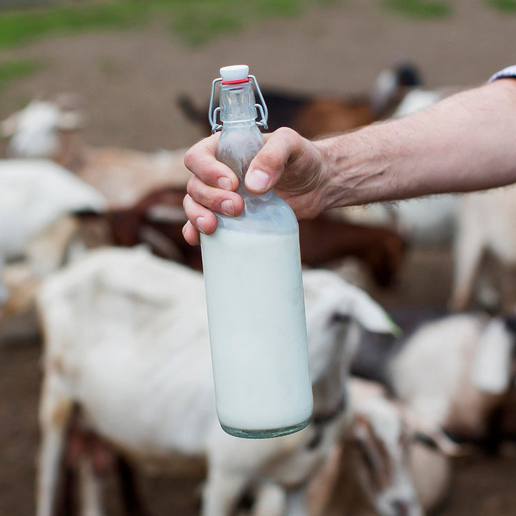 Goat Milk 1ltr