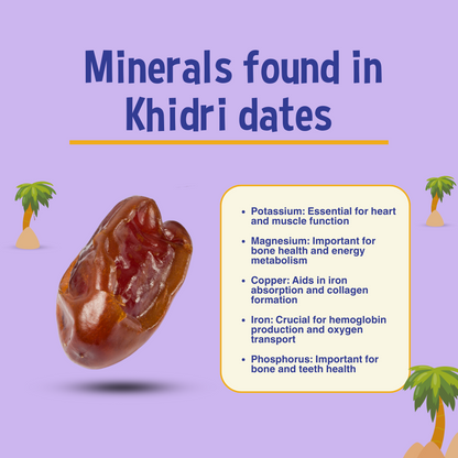 Organic Khidri Whole Dates-500g