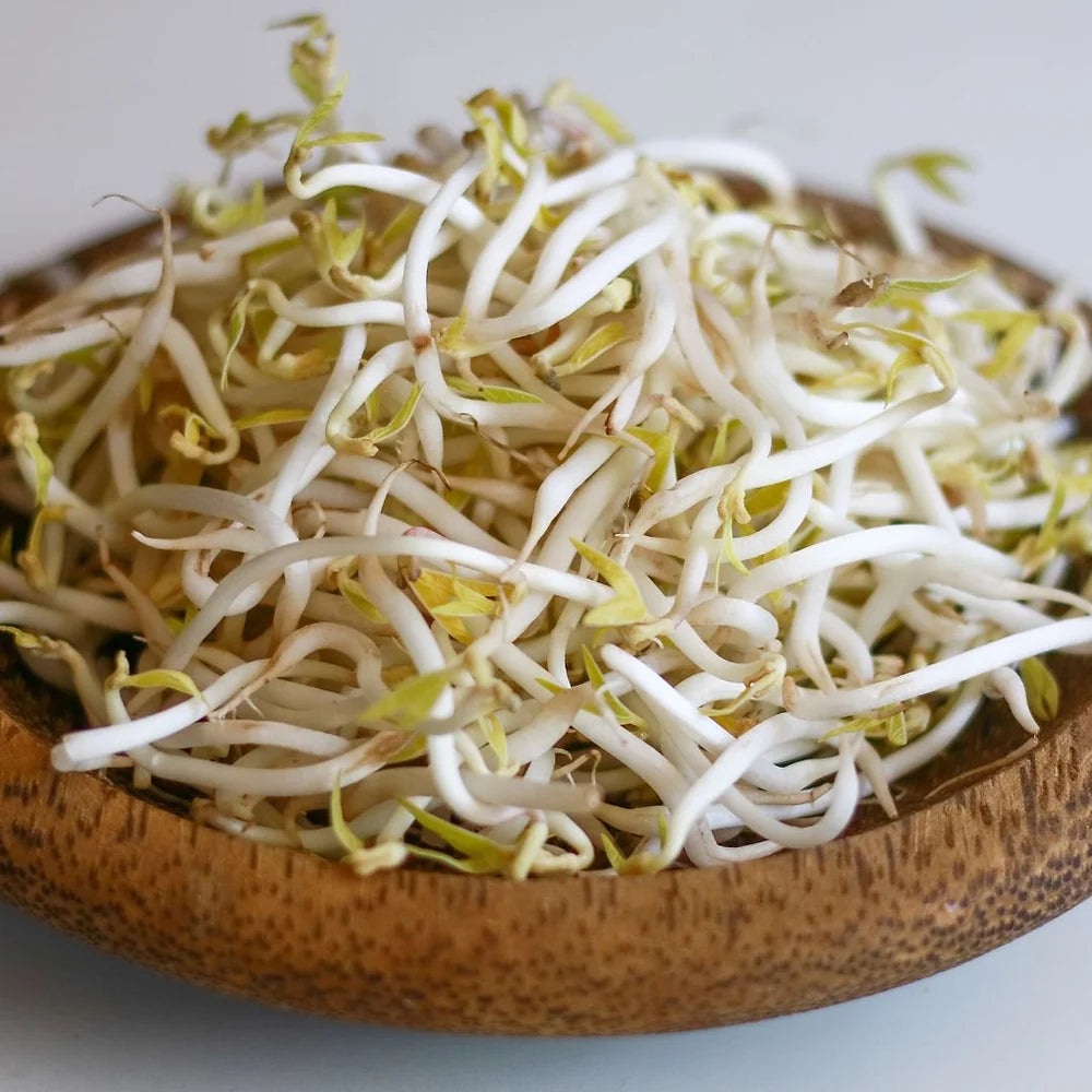 Bean Sprouts 100gm