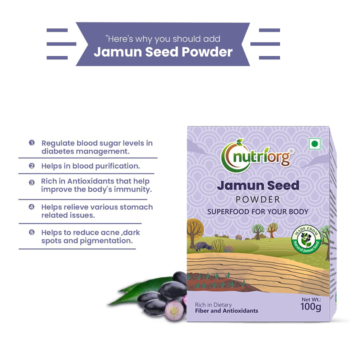 Nutriorg Jamun Seed Powder 100g