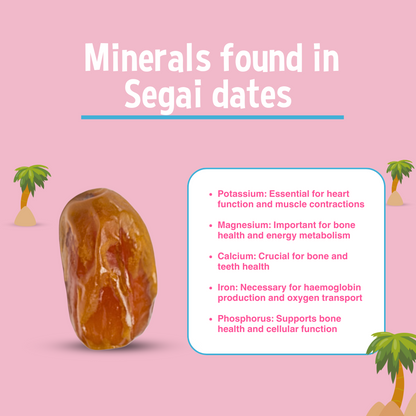 Organic Segai Whole Dates-500g