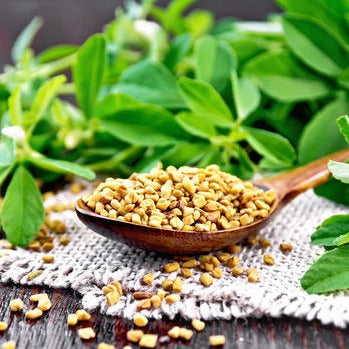 Natural Fenugreek Seeds 100gm