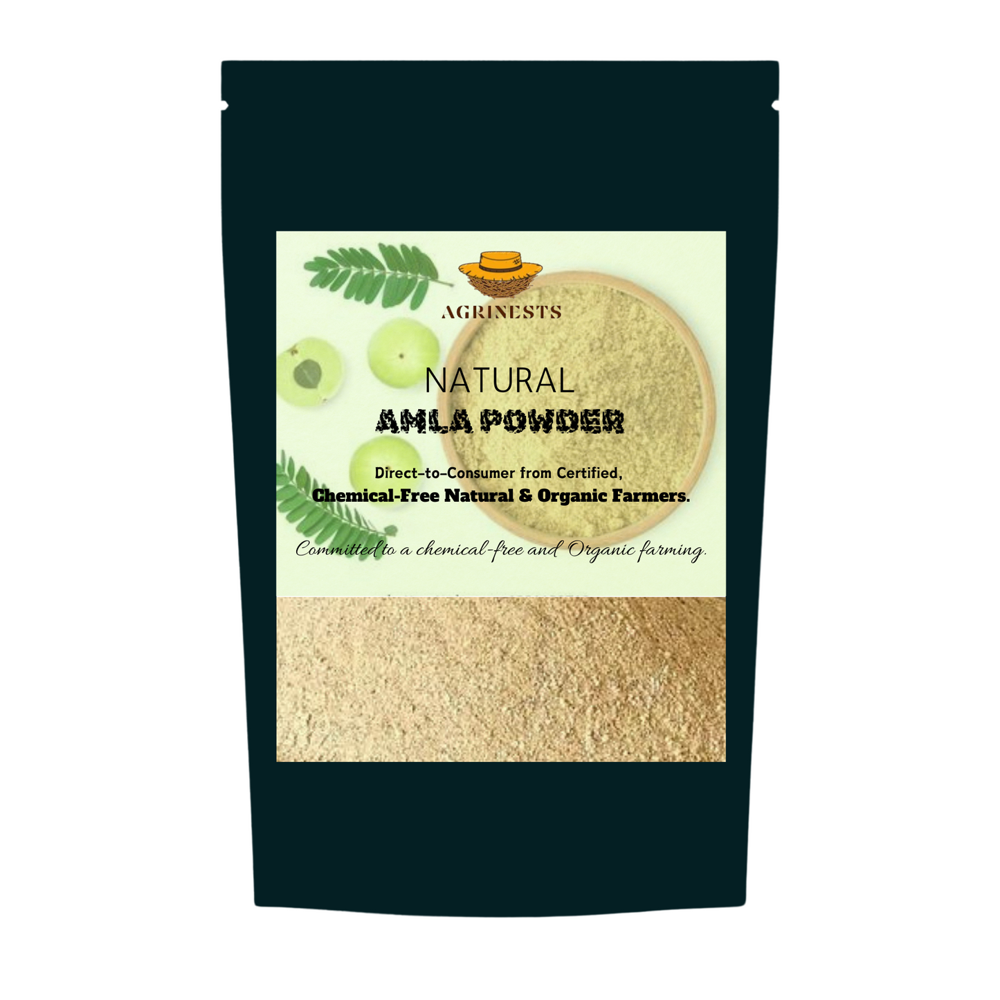 Natural Amla Powder 100gm