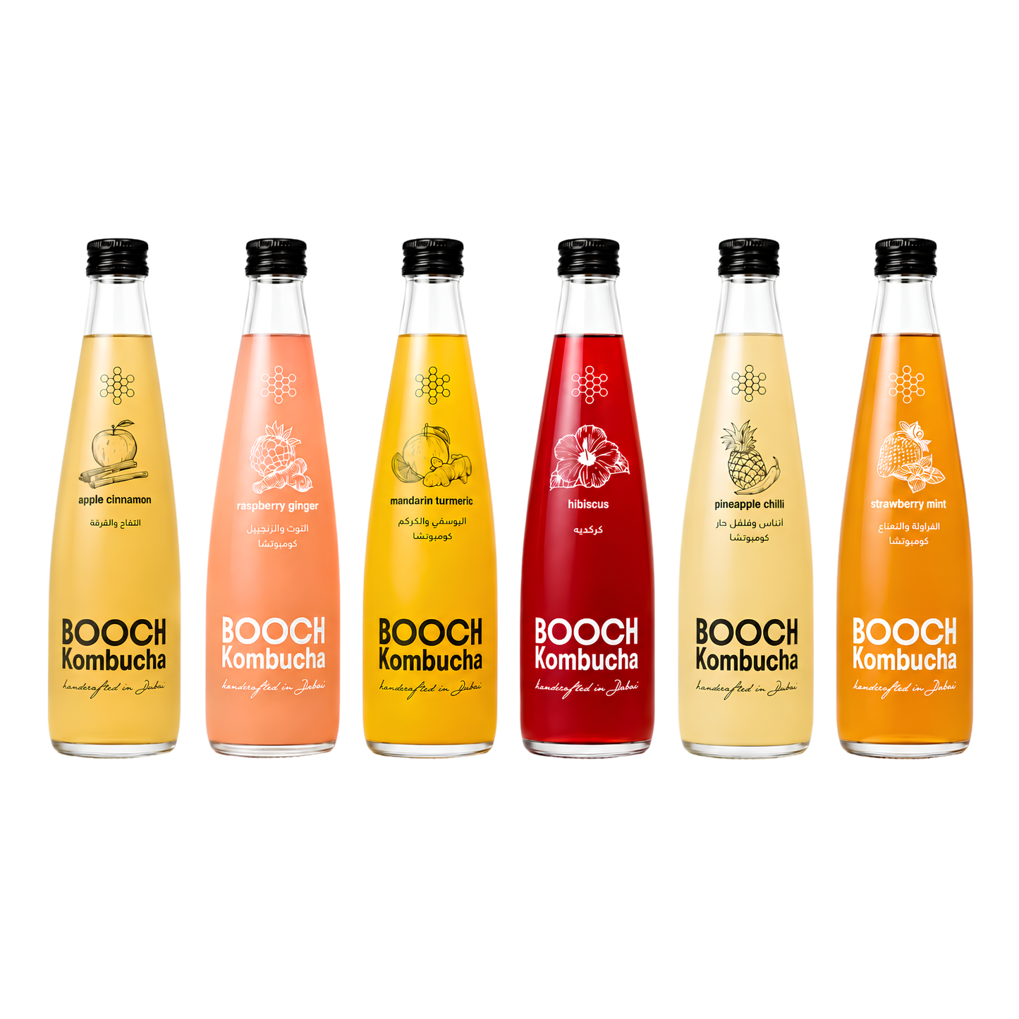 Assorted Kombucha Mix – 6 Flavor Variety Pack