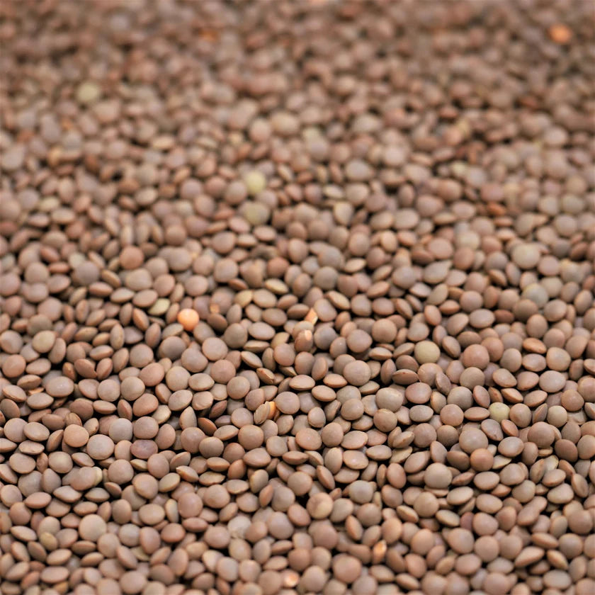 Australian Red Lentils (500g)