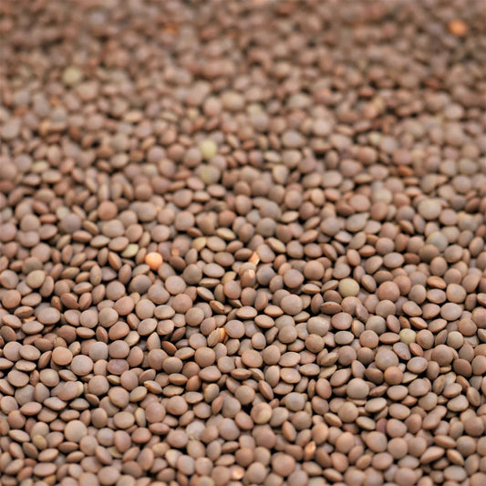 Australian Red Lentils (500g)