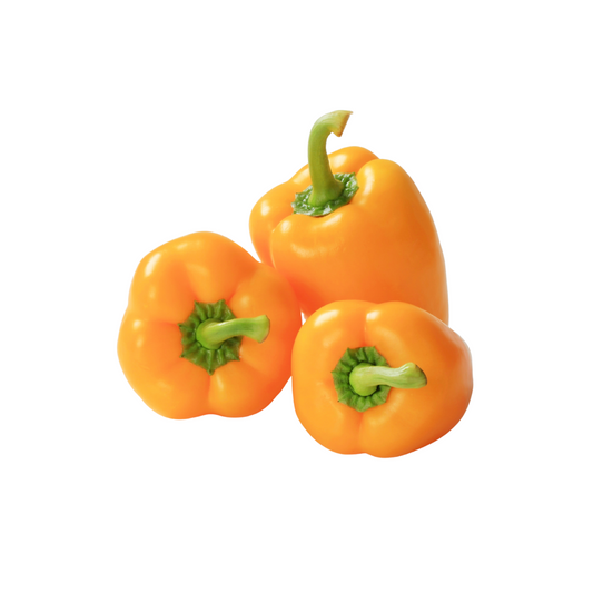 Capsicum Yellow