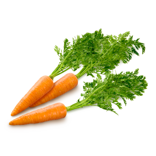 Carrot