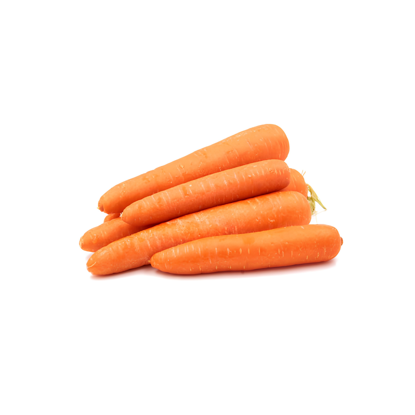 Carrot