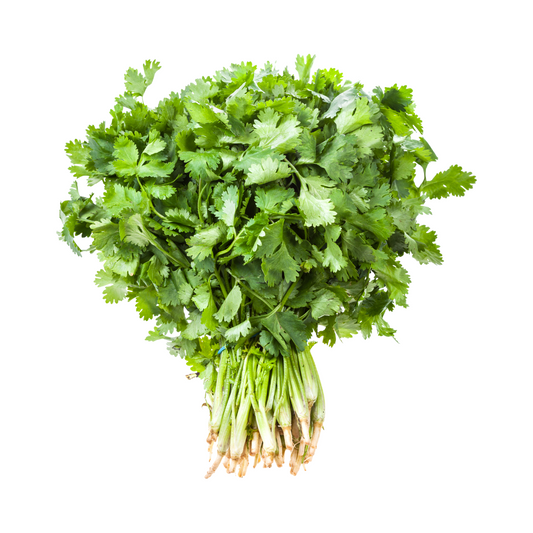 Coriander Leaves (Approx 100gm)