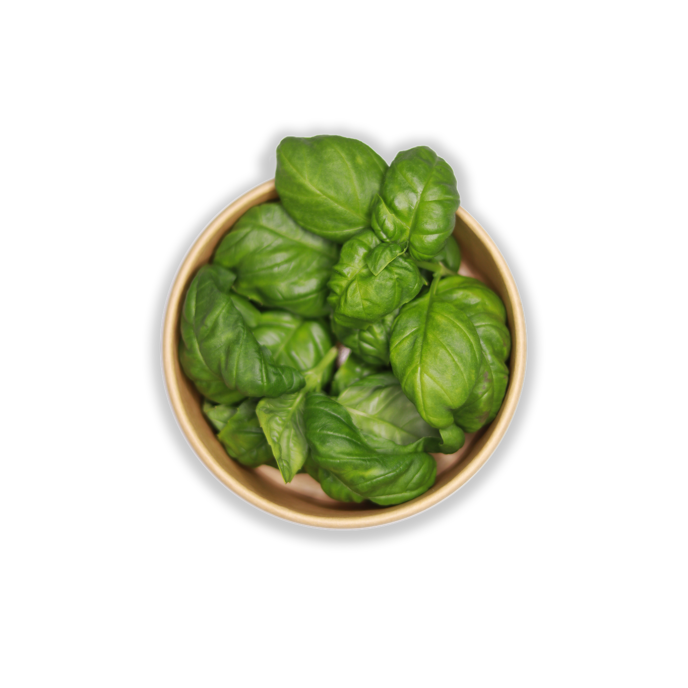 Basil Cut Herbs 12 gm