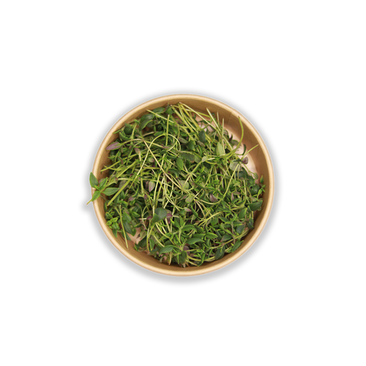 Thyme Cut Herbs 12 gm