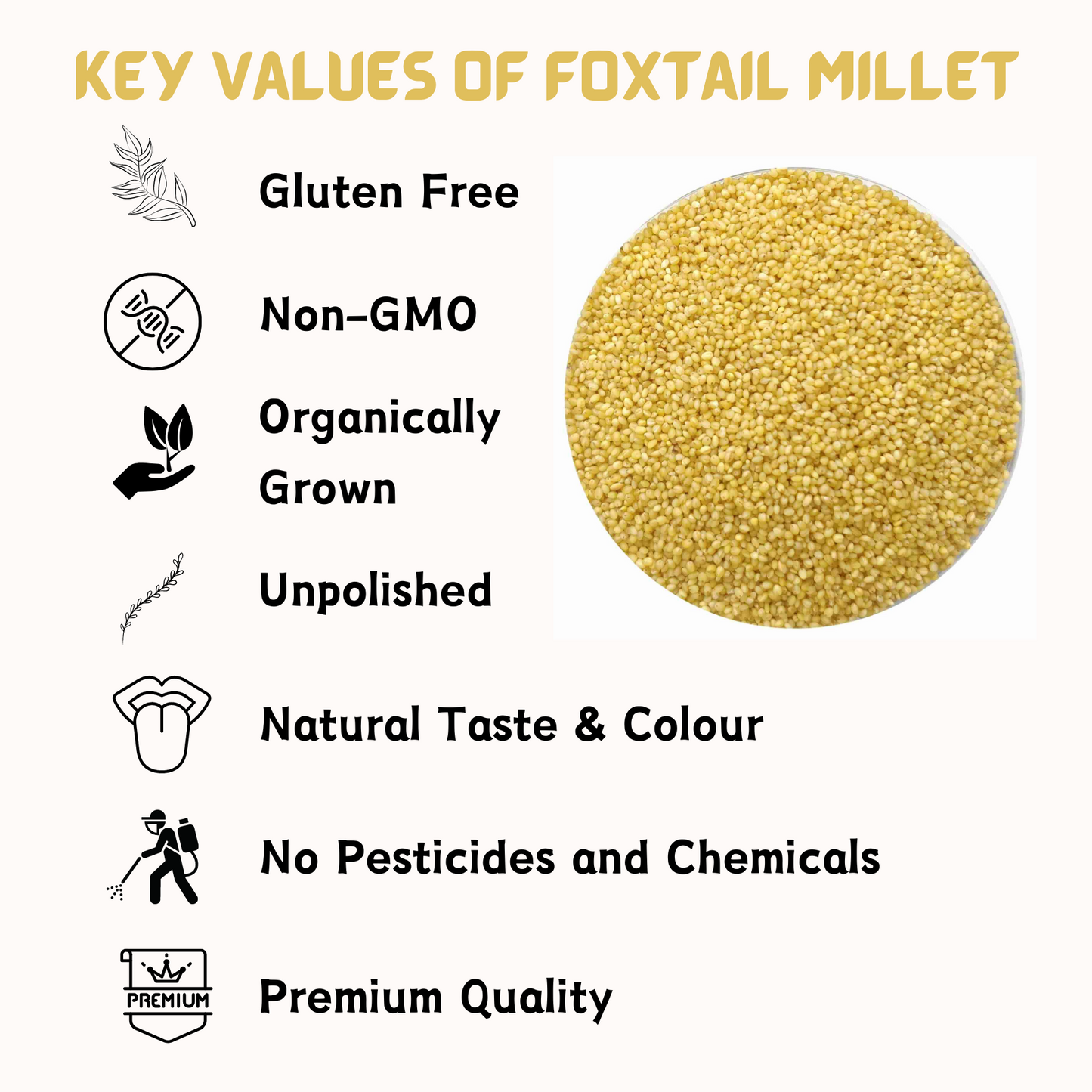 Organic Foxtail Millet