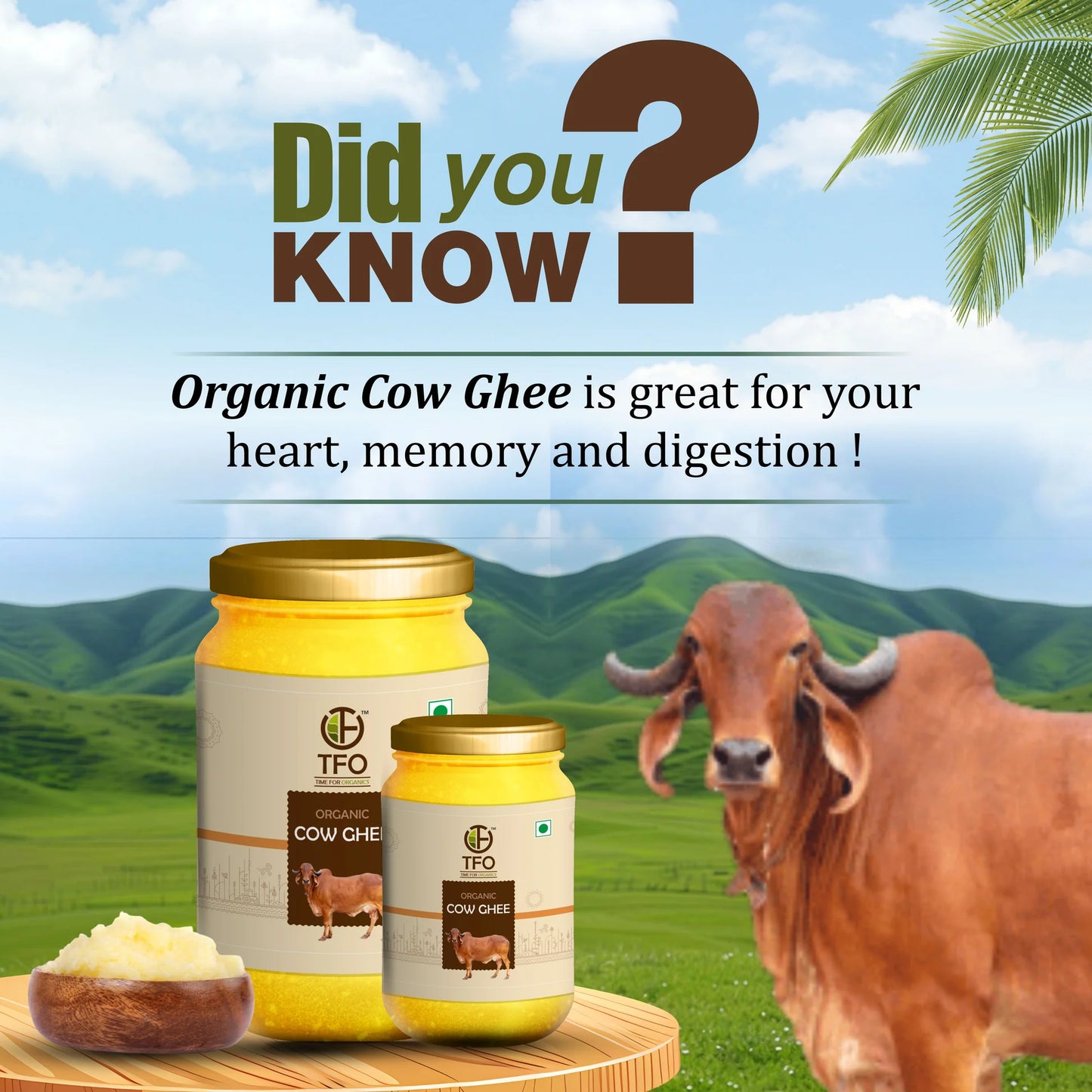 TFO Organic Cow Ghee 220ml