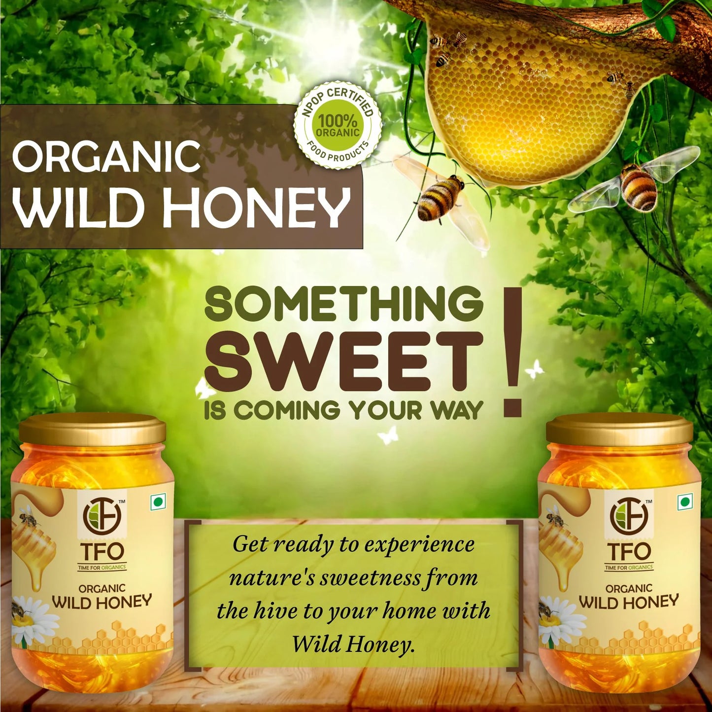 TFO Organic Wild Honey 250ml