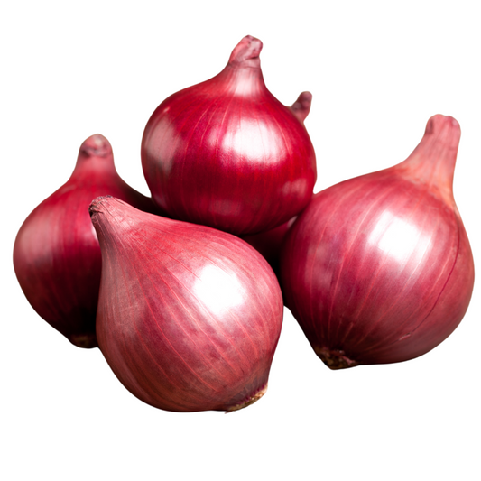 Onion