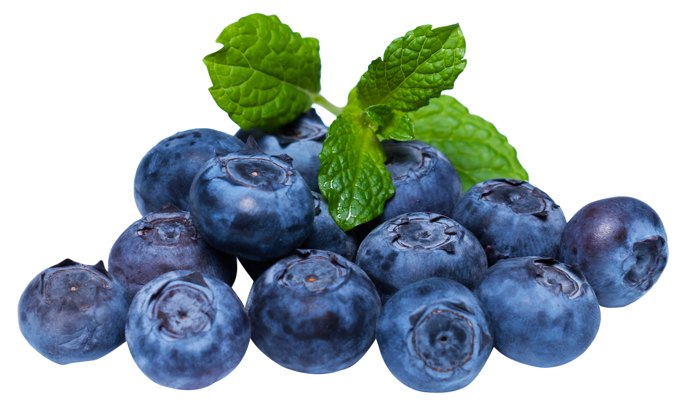 Organic Blueberries -125g