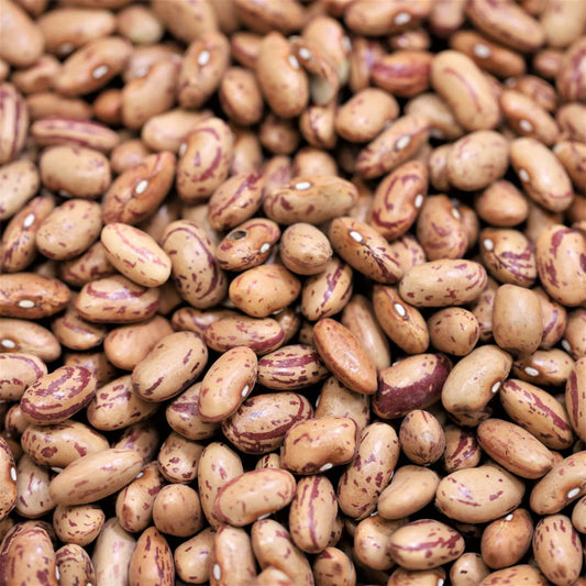 Organic Borlotti Cranberry Beans (500g)