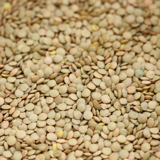 Organic Green Lentils (500g)