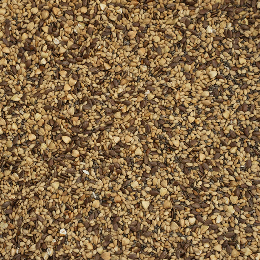 Organic Mixed Toasted Seeds