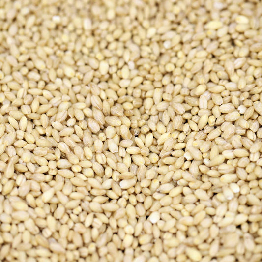 Organic Pearl Barley